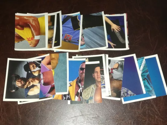 Wwf Stickers Merlin Blue Album 1991 Select The Sticker You Need Wwe Wrestling