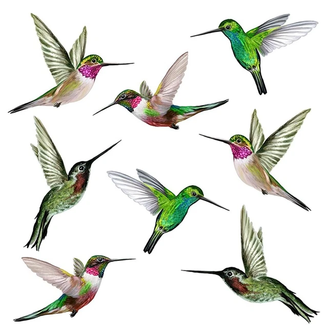 8  Beautiful Humming Bird Static Cling Window Stickers   Collision Bird Strikeh