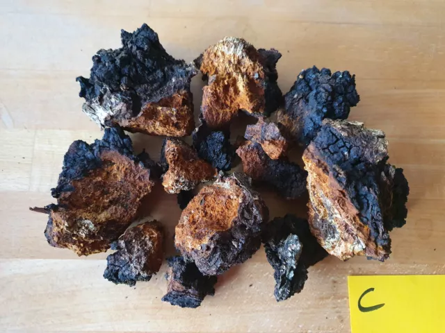 Chaga Pilz Wildsammlung Karelien 2023  , 400g