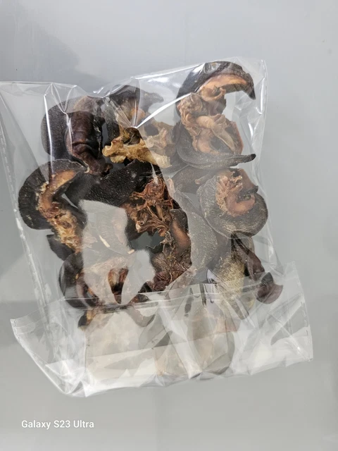Lumache essiccate