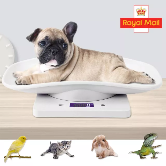 Digital Pet Scale, Small Animal Cat & Dog Scale LCD Kitchen Food Weighing Scale