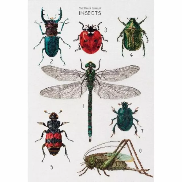 Kit point de croix  Histoire des insectes 566A  Thea Gouverneur  Aida