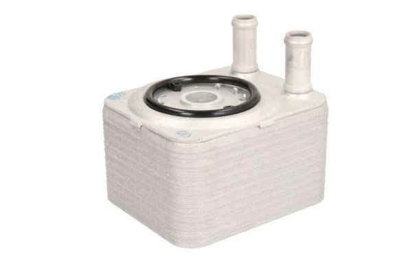 VASCA OLIO ACCIAIO per VW Polo 6N 1.4 1.6 94-99 EUR 42,41 - IT