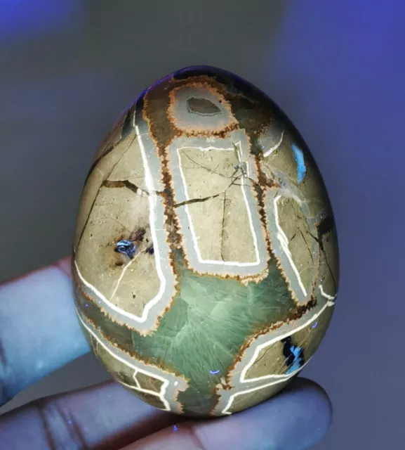 Polished DRAGON SEPTARIAN GEODE SPHERE Egg Glow Under UV Light