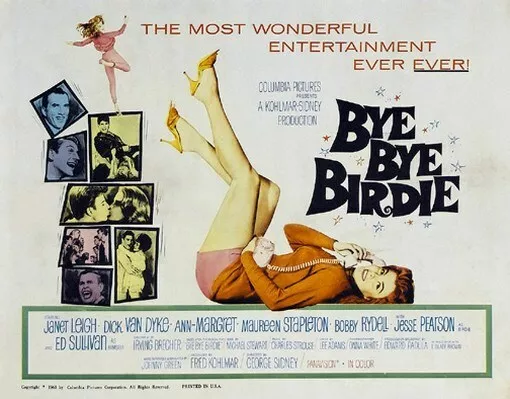 BYE BYE BIRDIE MOVIE POSTER Ann Margret VINTAGE 3 Sizes