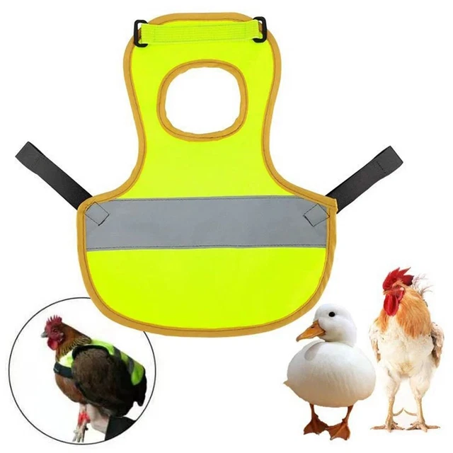 ADJUSTABLE CLOTHES CHICKEN Harness Reflective Vest Poultry Chicken Vest