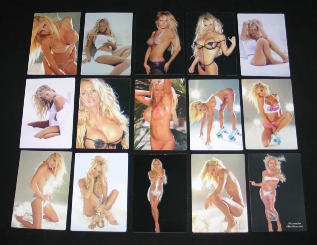 15 Cp Pamela Anderson Actrice Mannequin Mode Pin-Up Modele Photo Charme Lingerie