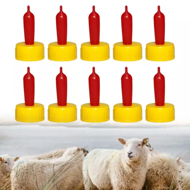 10 PCS Agneau Chèvre Mangeoire, Biberon Topper, Nourrir Lait Boire Mamelon pour