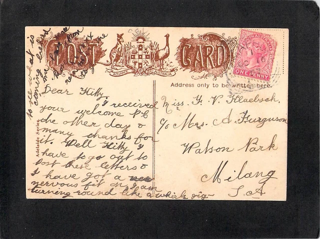 B0834 Australia SA Adelaide Elder Rotunda Park PU1907 vintage postcard 2