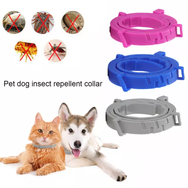 Pet Anti Flea Tick Neck Adjustable Collar for Dog Cat Kitten 8 Month New