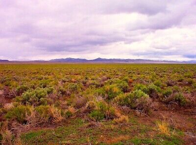 Land In Nevada 40 Acres. Monthly Payment Option. Immediate Use. USA 3