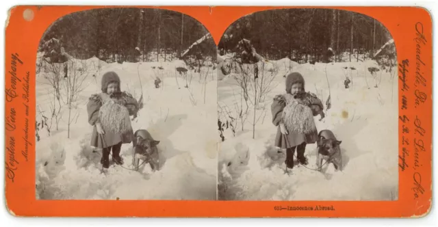 c1890's Stereoview Card Showing Adorable Little Girl Playing in Snow With Dog