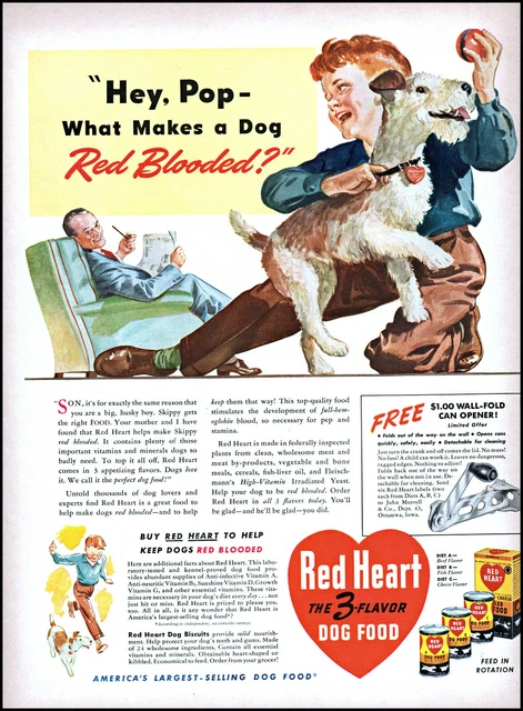 1941 Jack Russell Terrier Boy Dad Red Heart Dog Food vintage art print ad L71