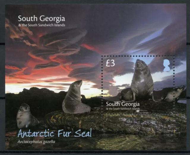 South Georgia & Sandwich Isl Animals Stamps 2018 MNH Antarctic Fur Seals 1v M/S