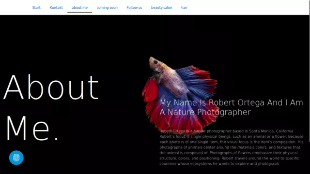 Professionelle Homepage programmieren, Webseite, Responsive Website, Webdesign Professionelle Homepage programmieren, Webseite, Responsive Website, Webdesign