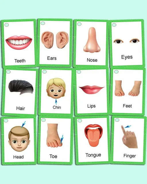 BODY PARTS NAME Flashcards | Parts of the body flashcards £6.99 ...