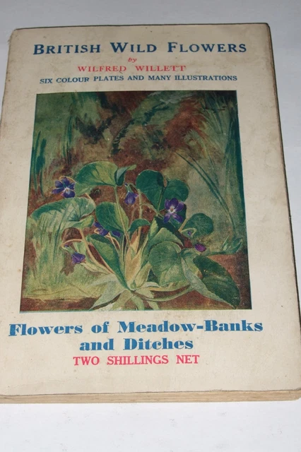VINTAGE BRITISH WILD FLOWERS BOOK By WILFRED WILLETT No.3 MEADOW BANK ...