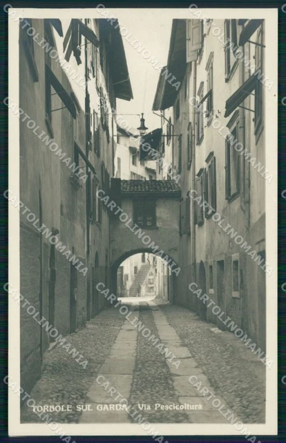 TORBOLE Trento Lago di Garda vecchia cartolina