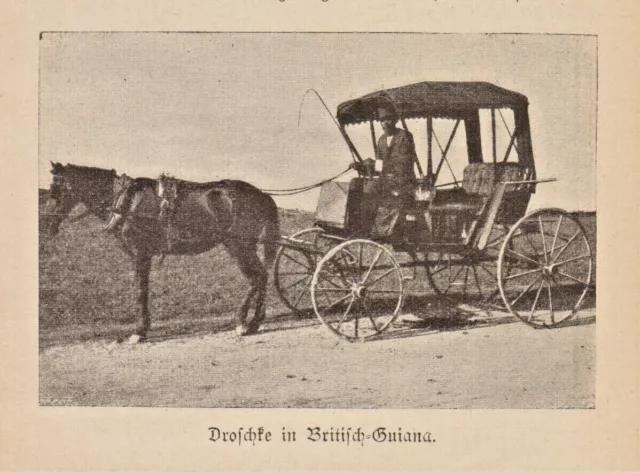 Droschke in Britisch-Guayana Guyana anno 1898 - Historische Abbildung von 1898