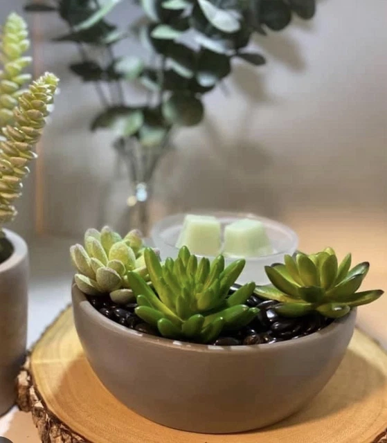 SCENTSY LITTLE GARDEN Element Wax Warmer Customizable Succulent Plant  $48.37 - PicClick CA
