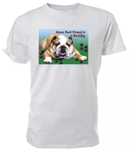 English Bulldog T shirt, Mans Best Friend - Choice of size & cols! mens/womens