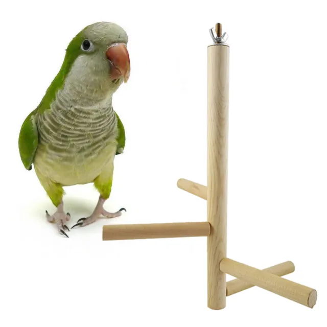 Natürliche Vogelstangen Sittich Barsch Parrot Toys Bird Haustier