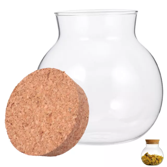 Kitchen Storage Jar - Large Clear Glass Container with Cork Lid