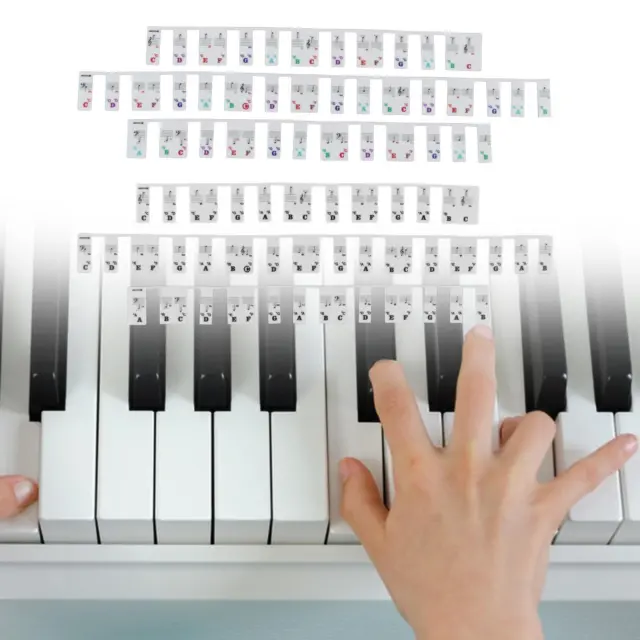 Autocollants clavier de Piano électrique 61 touches, Grand/vertical, notes,  étiquette, symbole, pour débutants et étudiants - AliExpress