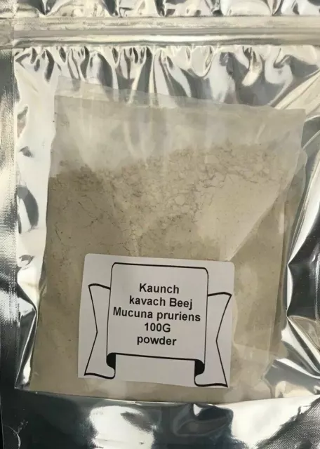 Extrakt aus Kaunch Kavach Beej Mucuna pruriens 100g Pulver