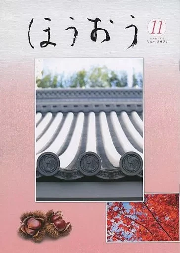 IDOL MAGAZINE HOO 2021 November Issue Number522 $63.32