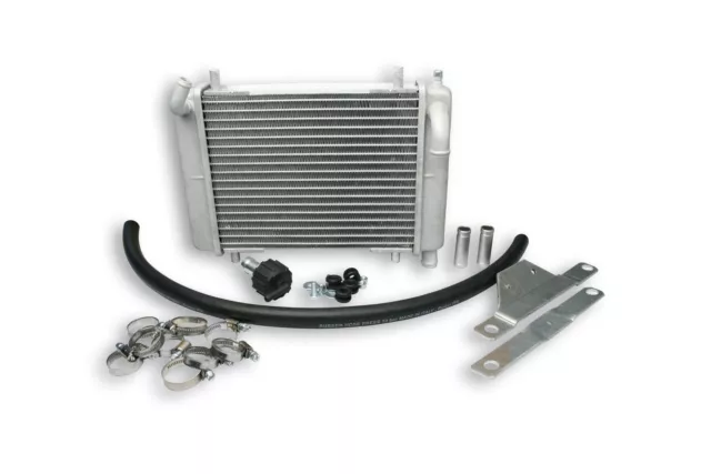 Malossi Radiator For Für Zip Sp 50Cc Up To Year 2000-Length 30.4 X Height 19.8 X