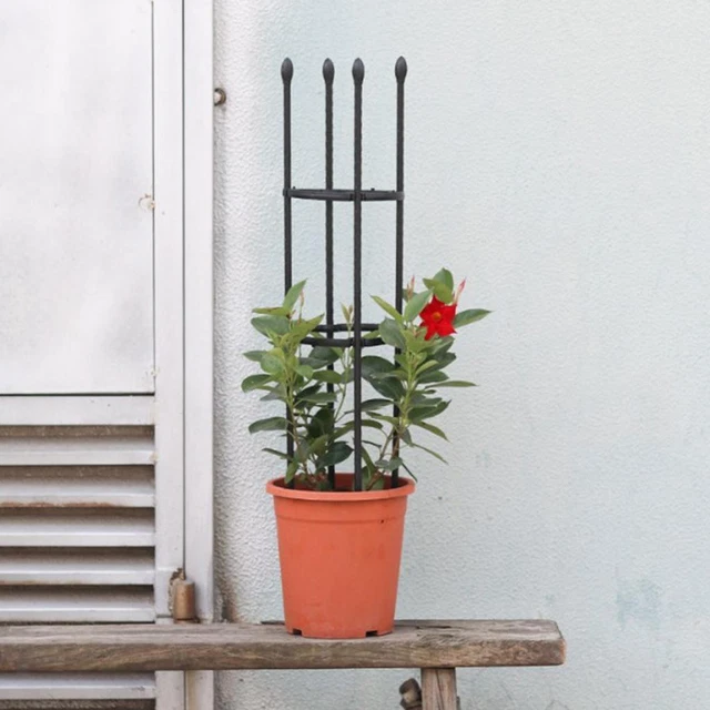 Lot De 4 Tuteurs Pour Plantes Grimpantes - Support Empilable 25 Cm, Plastique Durable, Pour Jardin Et Intérieur
