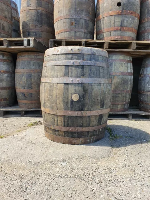 Large 75Cm Wide Scotch Whiskey Oak Wooden Barrel Garden Planter Home Bar Bourbon