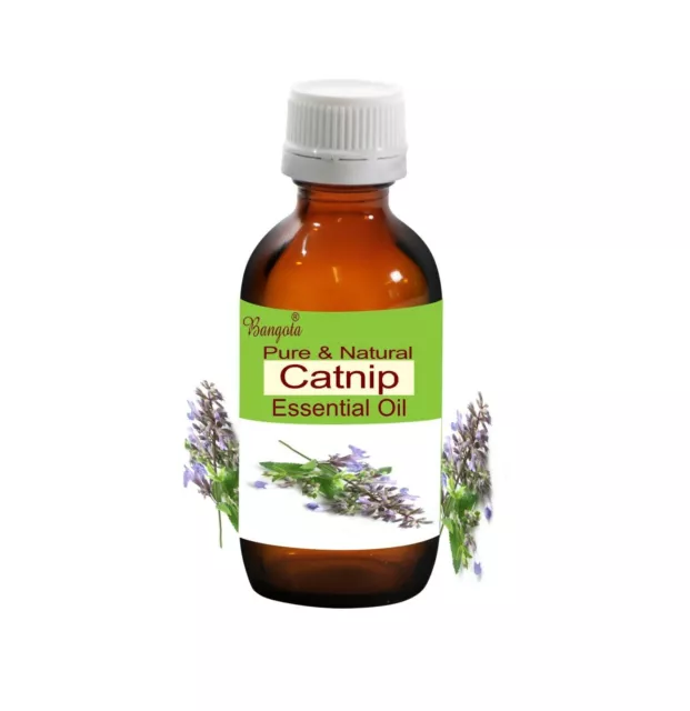 Catnip Pure Natural Essential Oil Nepeta cataria de Bangota 5ml a 1000ml