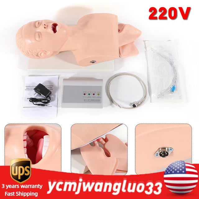 Airway Management Trainer Study Intubation Manikin Teaching Model Adult 220V