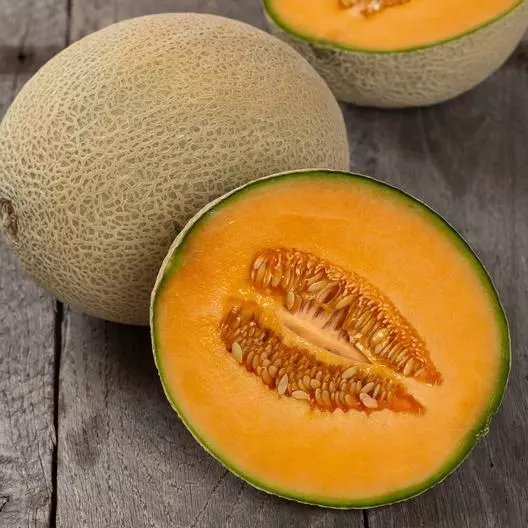 100 Hales Best Jumbo Cantaloupe Seeds | NON-GMO | USA Seller
