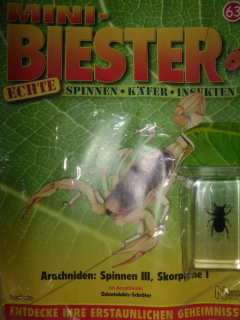 Mini-Biester/Echte Spinnen-Käfer-Insekten/Ausgabe 63/Hachette /Schröter