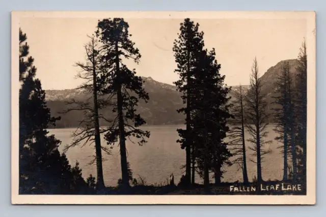 Fallen Leaf Lake RPPC Antique California Tahoe El Dorado County Photo ~1910s