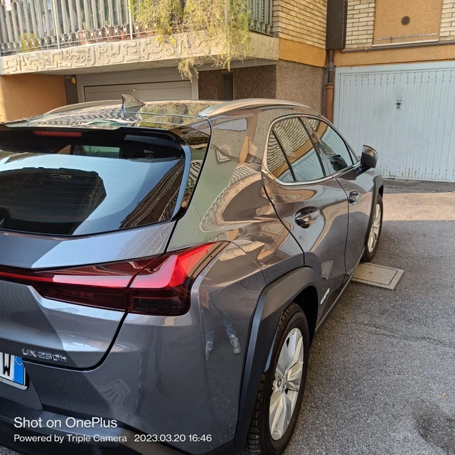 Autovettura Lexus UX h250 Hybrid