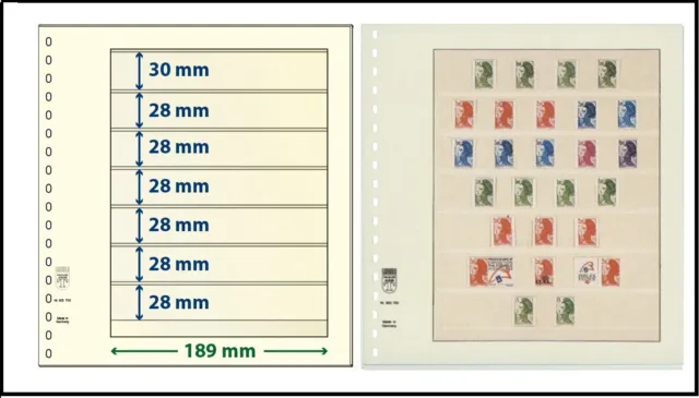 10 LINDNER 802700 T-Blanko-Blätter Blankoblätter 7x 1x30 / 6x28 x 189mm