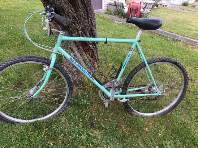 bianchi grizzly vintage