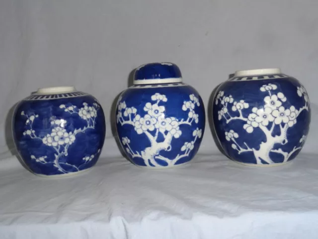 Chinese porcelain spice jars : Prunus pattern