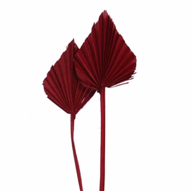 Palmspear Mini - 100 Piezas Bolsa - Rojo