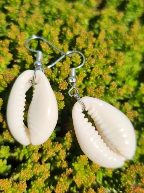 Conch Shell Earrings Drop Pair Silver Plated Cowrie Hook Earrings Beach Summer