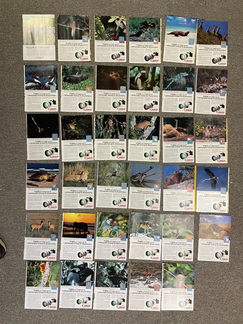 WILDLIFE AS CANON Sees It Print Ads Lot of 35 - 1980's 10 x 7 - Camera