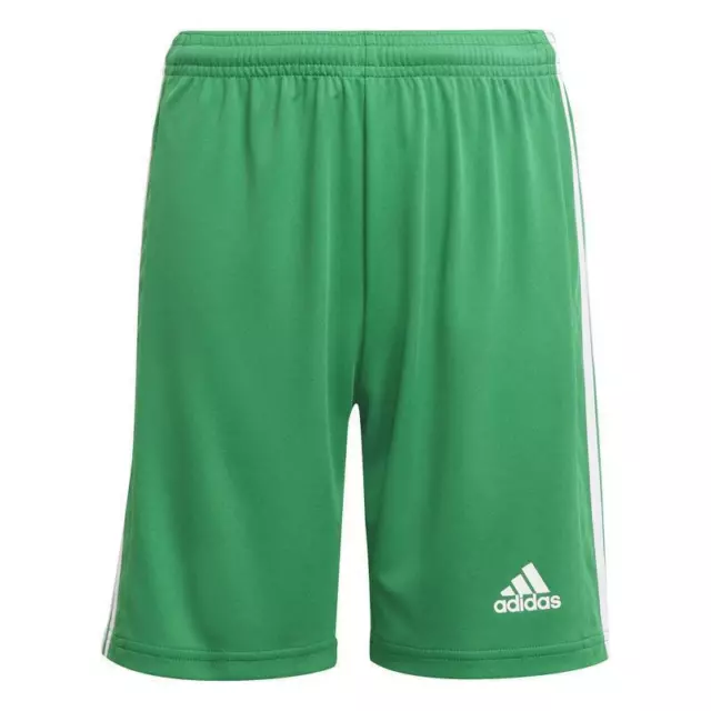 adidas Squadra 21 Shorts Kinder - grün/weiß