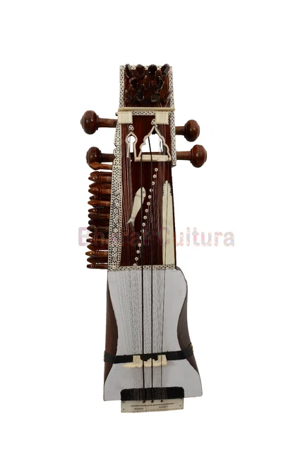 Professionnel Classique Folk Musical Instruments Tun Bois Kalavati Nœud Sarangi
