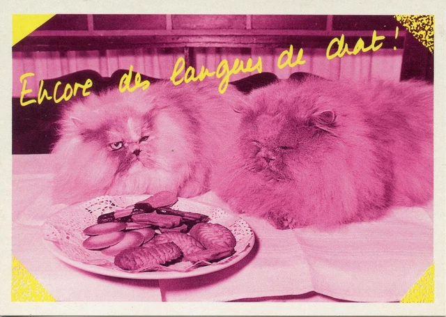 Cpsm / Carte Postale / Chat / Cat / Encore Des Langues De Chat