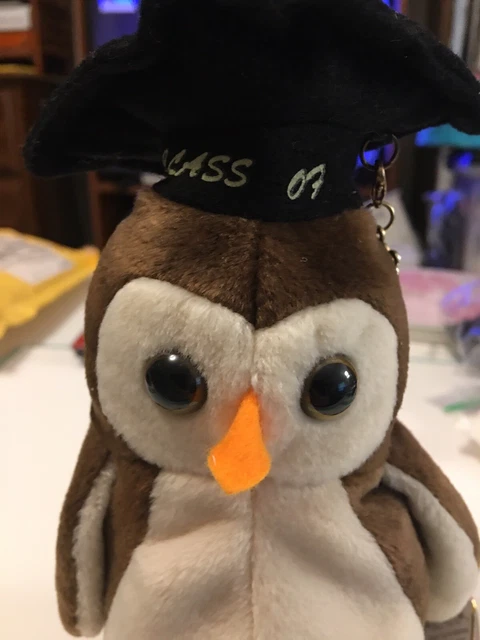 Graduation Gift Altered Ty Beanie Baby - 'WISE' w/ 2023 Silver Tone Clip Charm