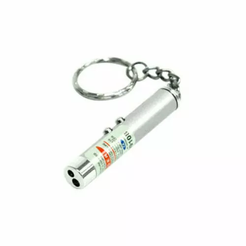 New 2in1 Red Laser Lazer Pointer Pen LED Light Torch Cat Dog Toy Keyring Silver